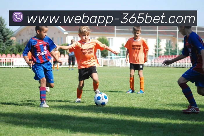 365bet平台生态图